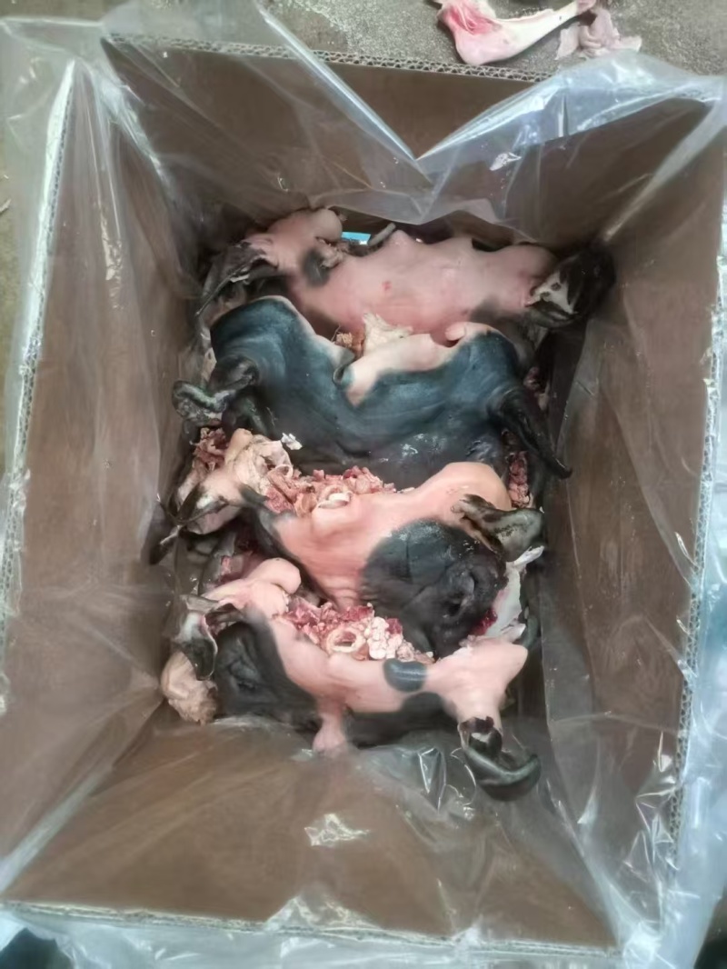 熟黑羊脸肉，一件20斤