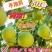 【热卖】沙田柚新鲜上市品质保证大量供应广东省内包邮