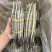 清水足干140头六角海龙产地一手货源批发