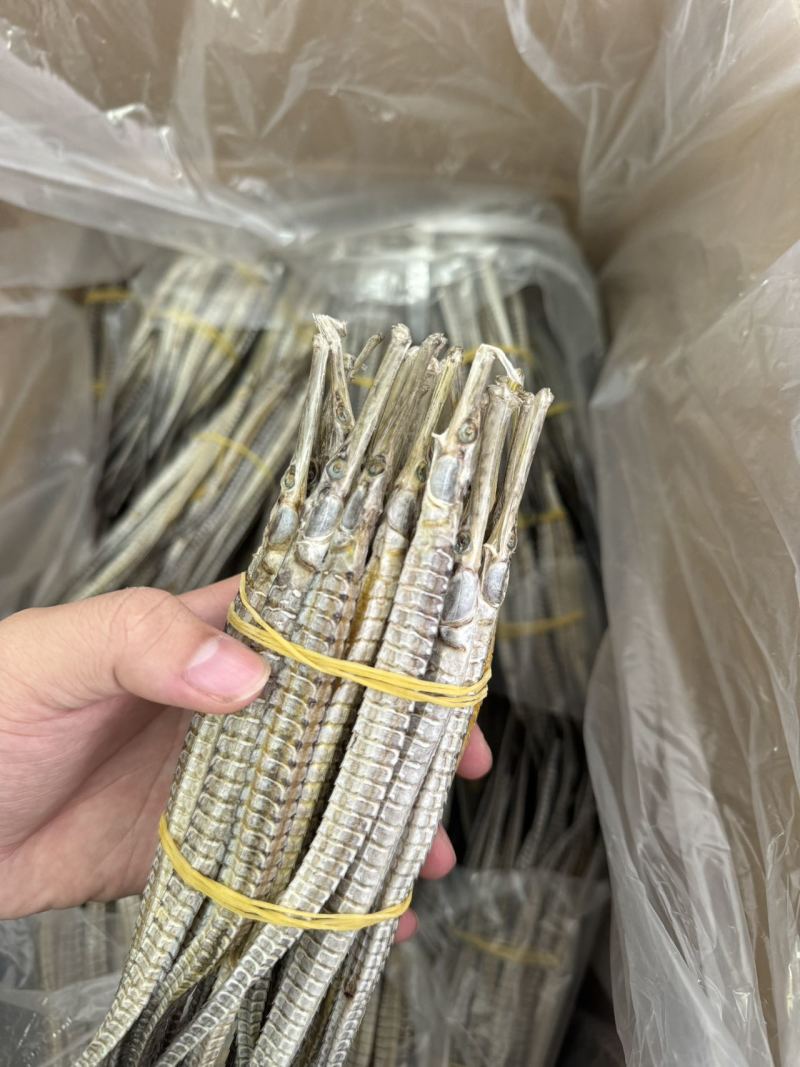 清水足干140头六角海龙产地一手货源批发