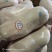 乳猪，基地直发，大量有货，欢迎各位老板咨询采购
