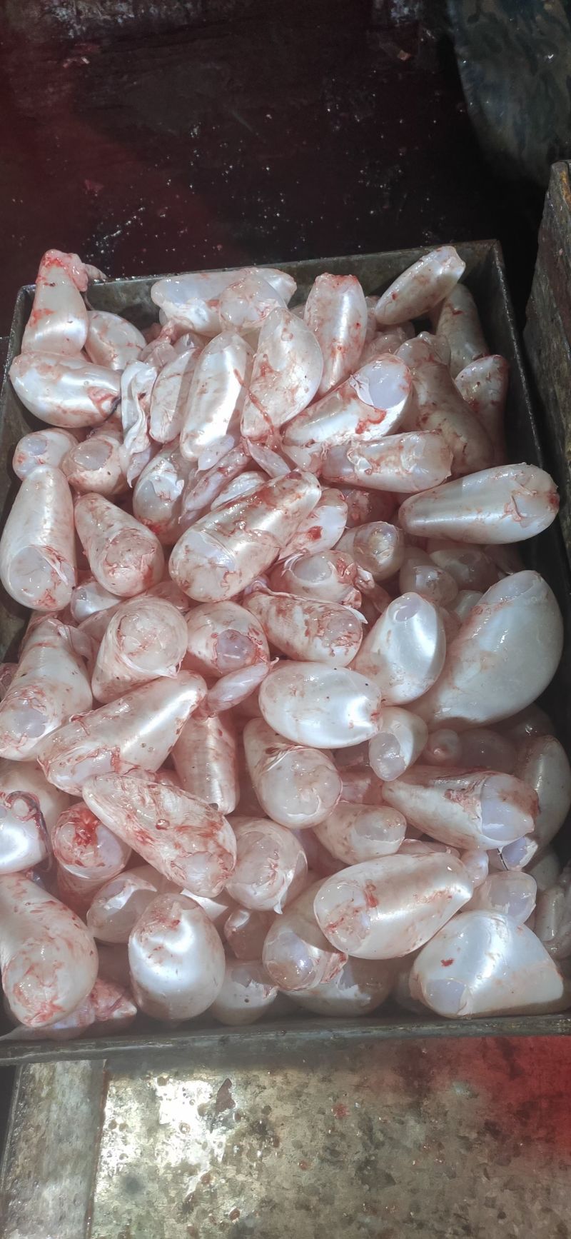 鱼泡，花鲢泡当天现杀现卖，10斤/袋新鲜鱼泡