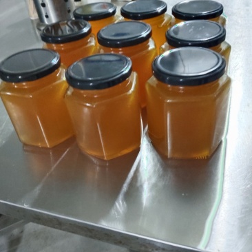 贵州黔西南纯野生土蜂蜜（注：量多可批发，包邮）