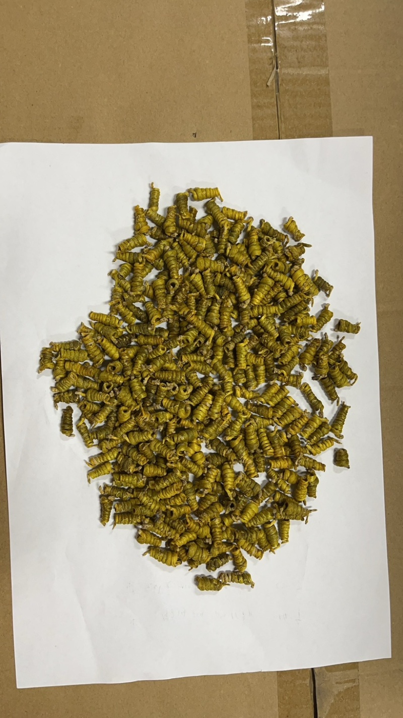 霍山米斛石斛中号精选龙头凤尾石斛5年种植