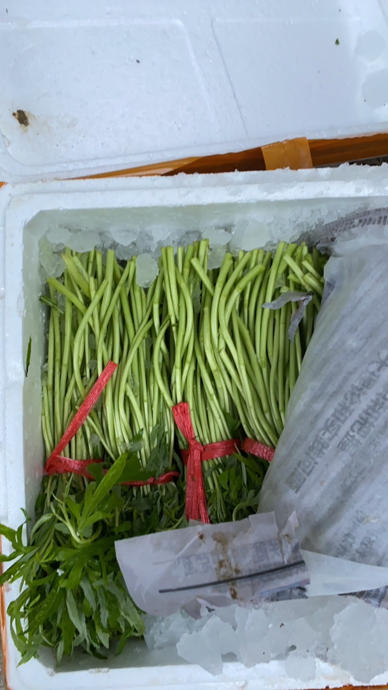 蔡甸区精品泥耗