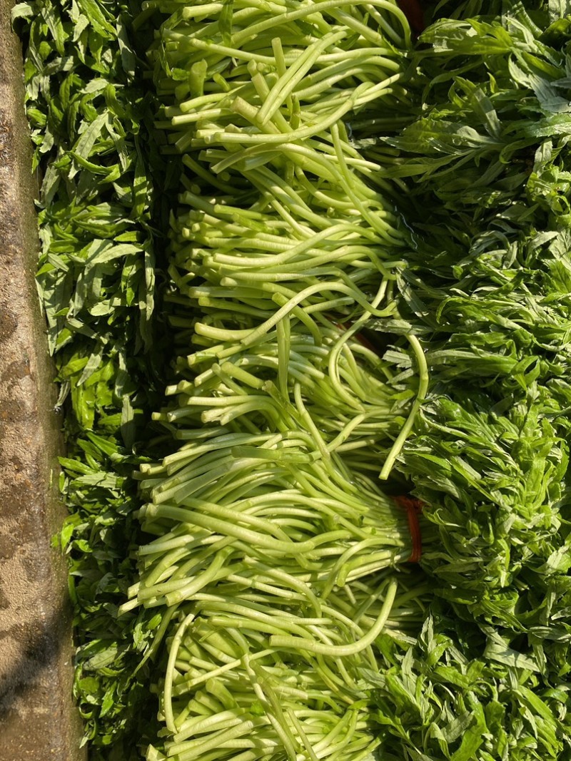 蔡甸区精品泥耗