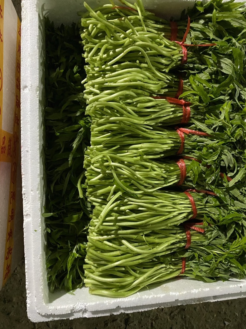 蔡甸区精品泥耗
