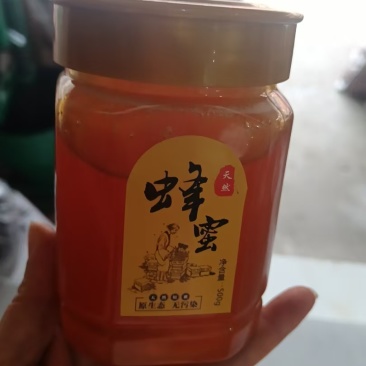 土蜂蜜120每瓶(1斤装)
