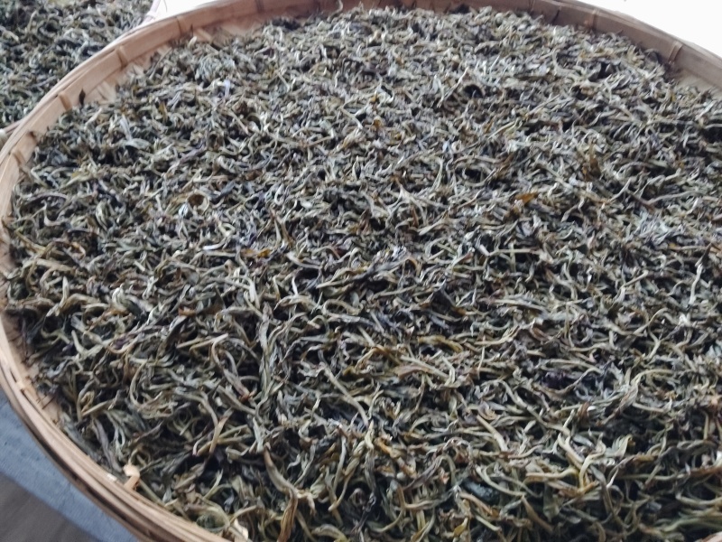 茶缘