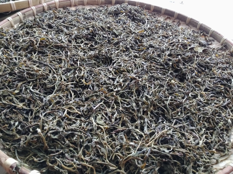 茶缘