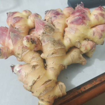 湖南汝城新鲜出土小黄姜二黄姜