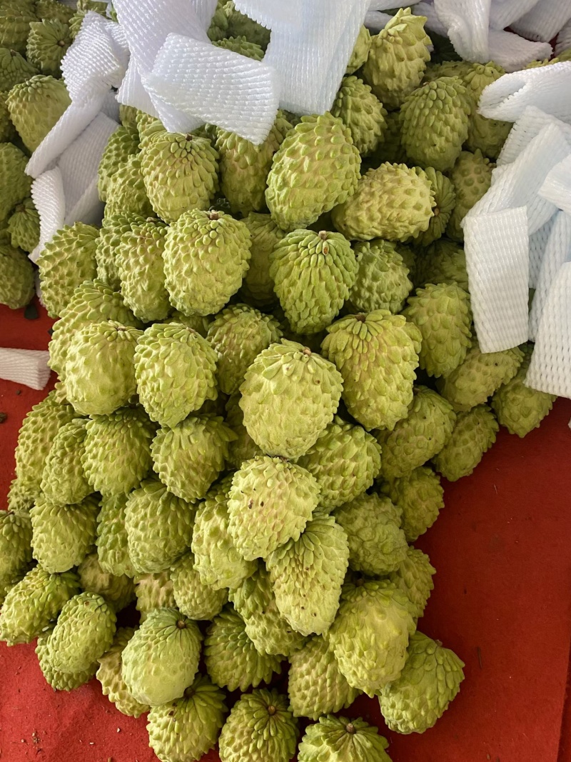 当季水果广西凤梨释迦果可对接市场电商果礼盒定制