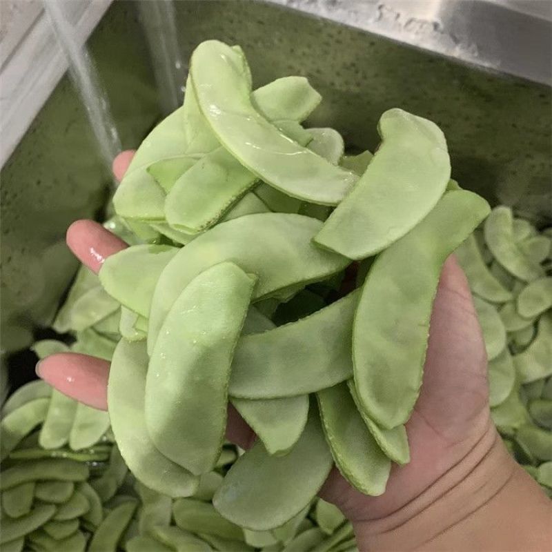 早冠扁豆种子优质早熟多荚耐储运农家春秋播种精选扁豆