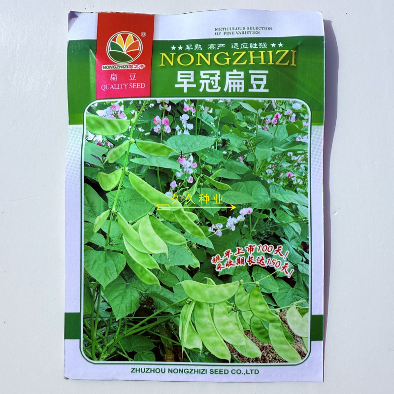 早冠扁豆种子优质早熟多荚耐储运农家春秋播种精选扁豆