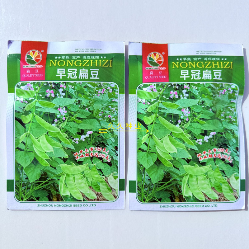 早冠扁豆种子优质早熟多荚耐储运农家春秋播种精选扁豆