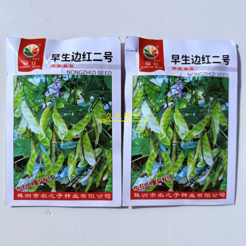 早生边红二号扁豆种子早熟结荚位低抗盐碱耐贫瘠边红二号眉豆
