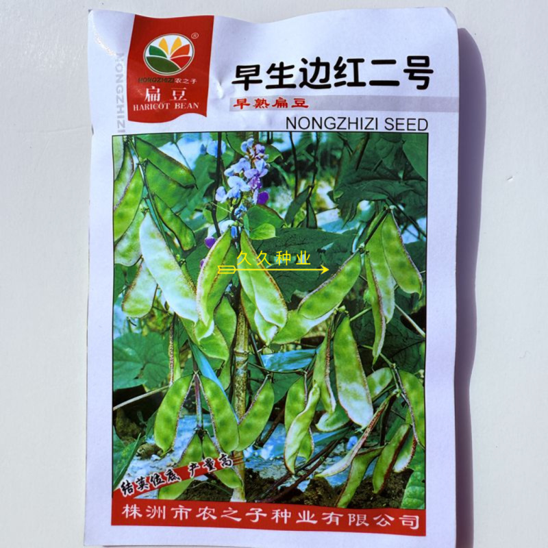 早生边红二号扁豆种子早熟结荚位低抗盐碱耐贫瘠边红二号眉豆