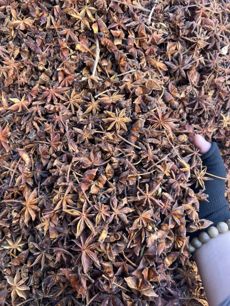 春花八角足干无硫黄颜色颜色好个头大产地直发