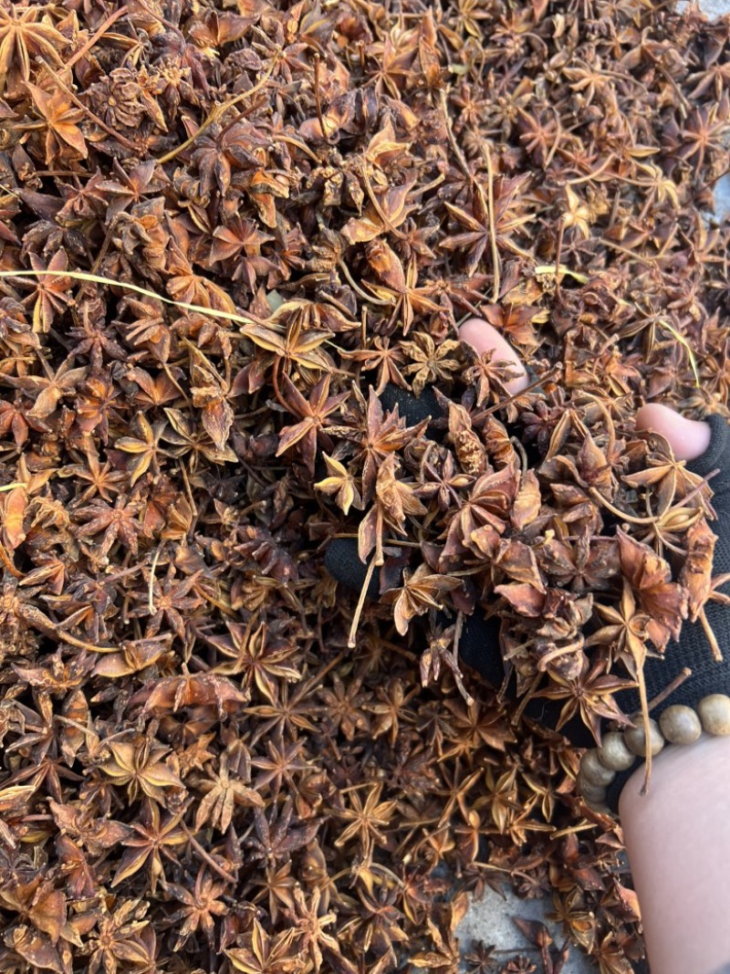 春花八角足干无硫黄颜色颜色好个头大产地直发