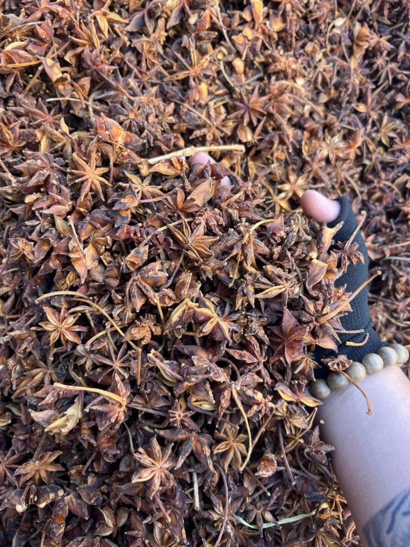 春花八角足干无硫黄颜色颜色好个头大产地直发