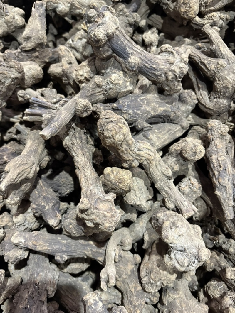 浙白术出售
