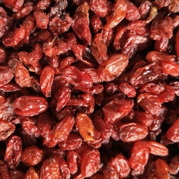 山萸肉山茱萸大货批发无糖皮