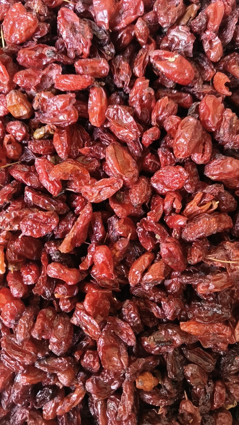 山萸肉山茱萸大货批发无糖皮