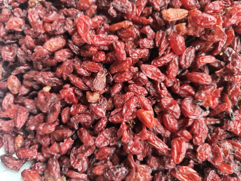 山萸肉山茱萸大货批发无糖皮