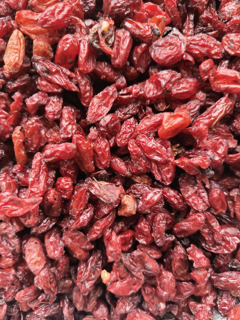 山萸肉山茱萸大货批发无糖皮