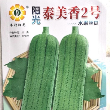 丝瓜种子泰美香2号顺直粗大肉嫩品质好水果型丝瓜