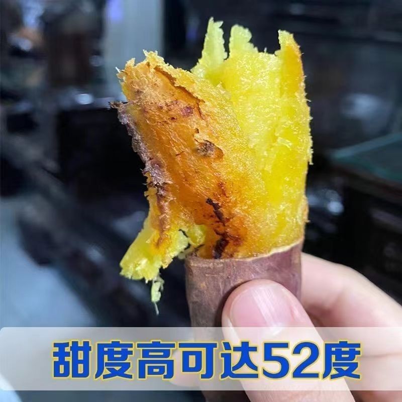 天津红瑶蜜薯岳龙红瑶红薯糖心红薯地瓜新鲜农家沙地烤薯特甜