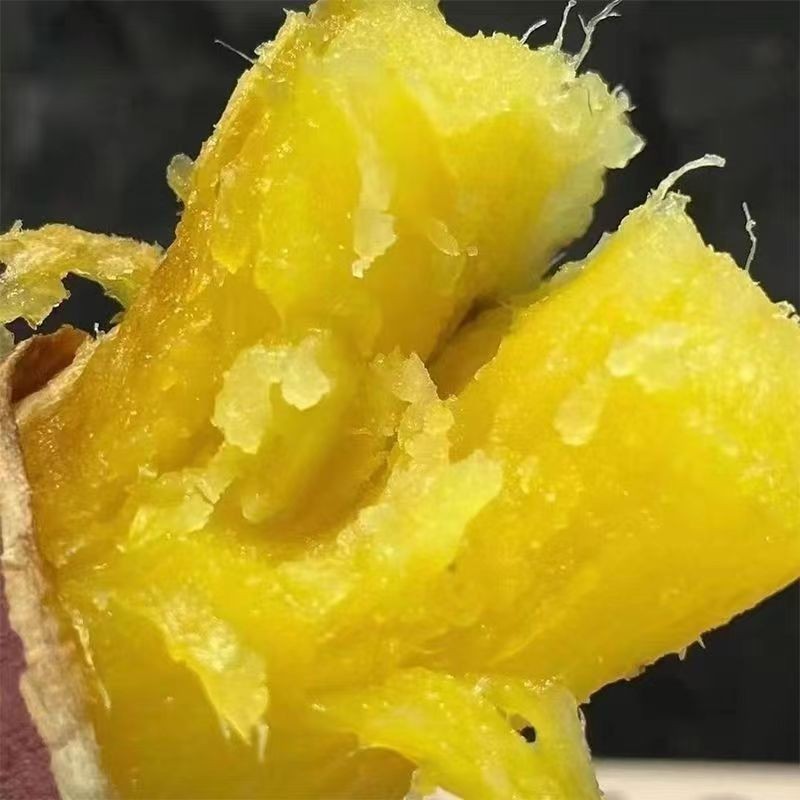 天津红瑶蜜薯岳龙红瑶红薯糖心红薯地瓜新鲜农家沙地烤薯特甜