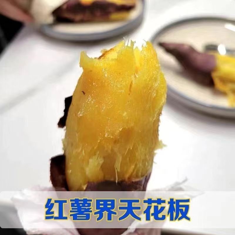 天津红瑶蜜薯岳龙红瑶红薯糖心红薯地瓜新鲜农家沙地烤薯特甜