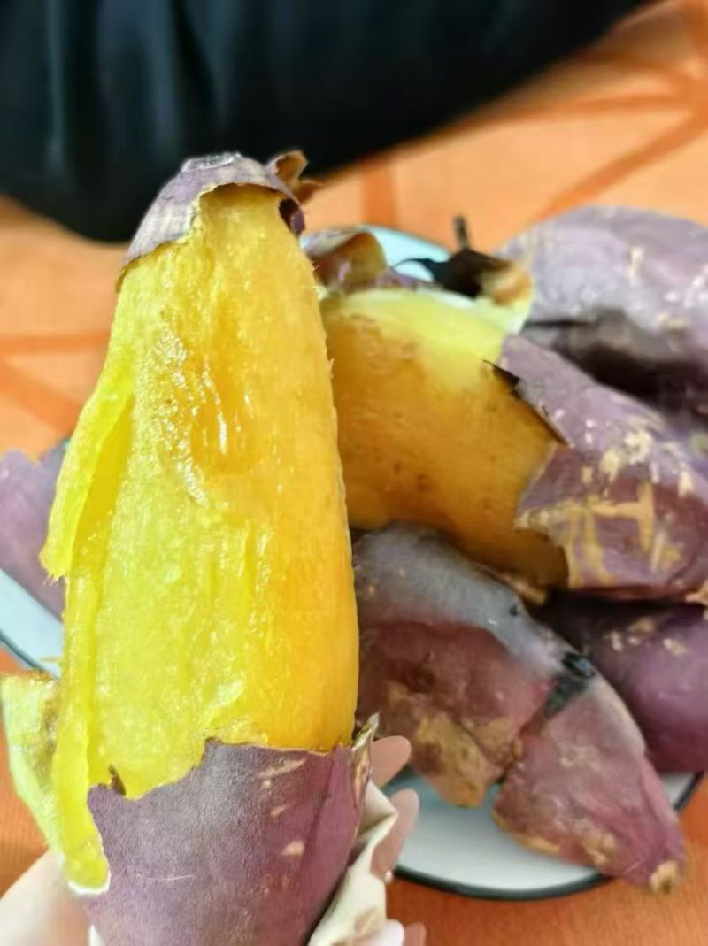 天津红瑶蜜薯岳龙红瑶红薯糖心红薯地瓜新鲜农家沙地烤薯特甜