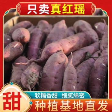 天津红瑶蜜薯岳龙红瑶红薯糖心红薯地瓜新鲜农家沙地烤薯特甜