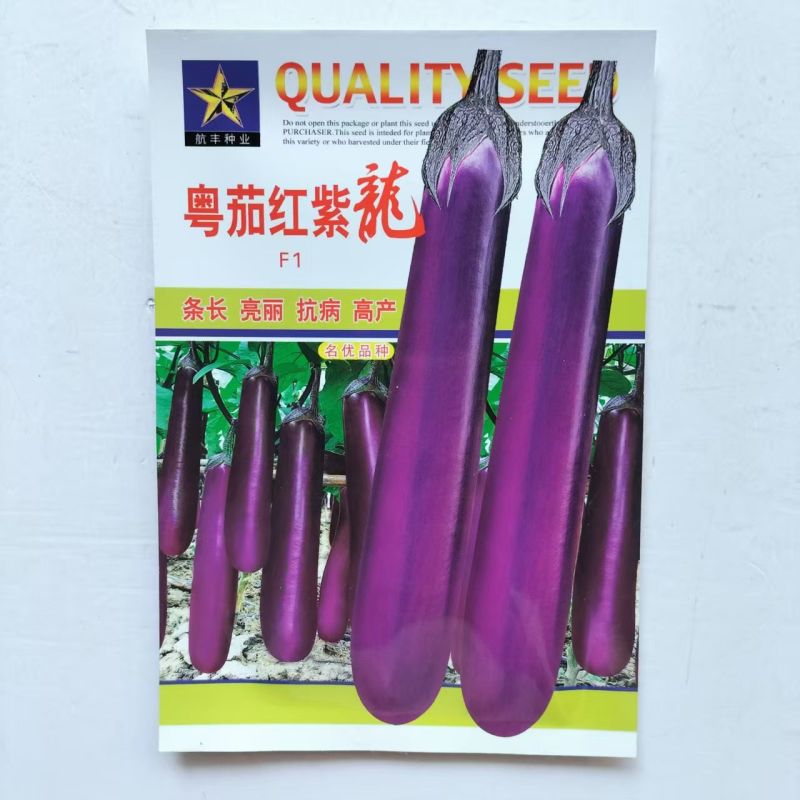 广东粤茄红紫龙茄子种子紫红长茄春秋季阳台种籽早熟茄果蔬菜