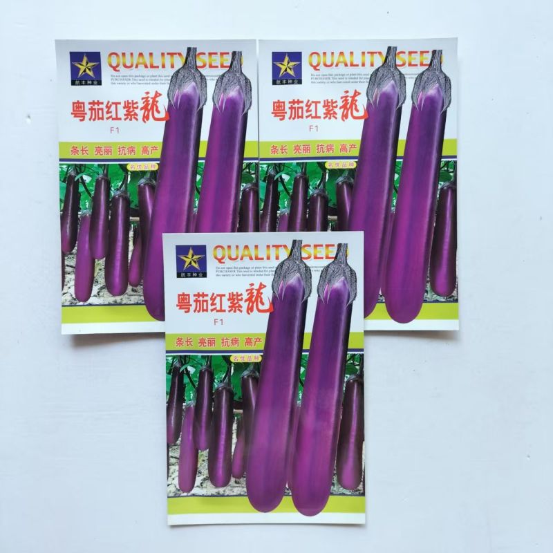 广东粤茄红紫龙茄子种子紫红长茄春秋季阳台种籽早熟茄果蔬菜