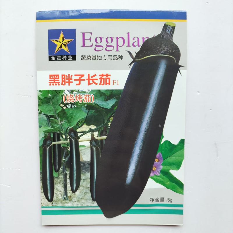 黑胖子长茄种子中早熟不早衰杂交黑长茄种子蔬菜种子口感绵软