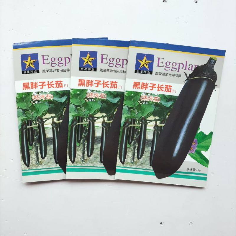 黑胖子长茄种子中早熟不早衰杂交黑长茄种子蔬菜种子口感绵软