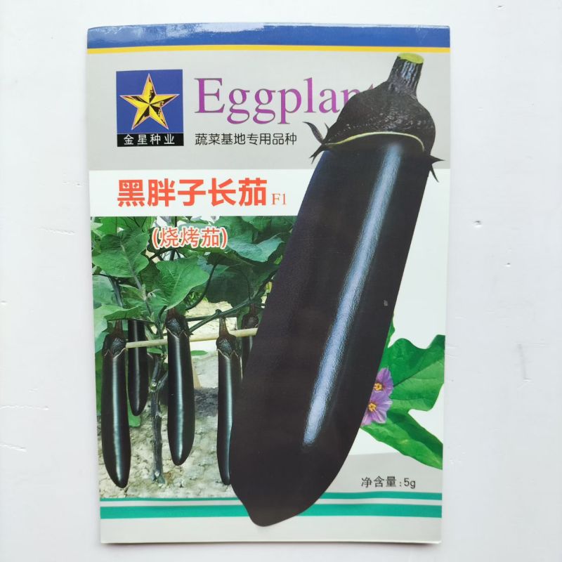 黑胖子长茄种子中早熟不早衰杂交黑长茄种子蔬菜种子口感绵软