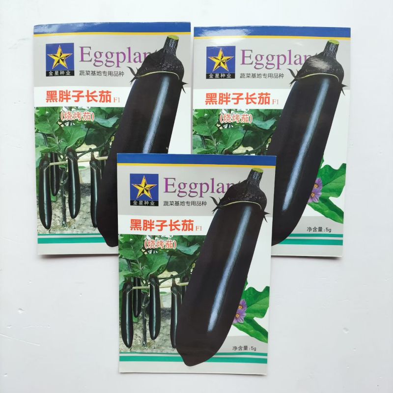 黑胖子长茄种子中早熟不早衰杂交黑长茄种子蔬菜种子口感绵软