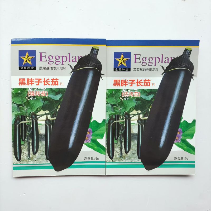 黑胖子长茄种子中早熟不早衰杂交黑长茄种子蔬菜种子口感绵软
