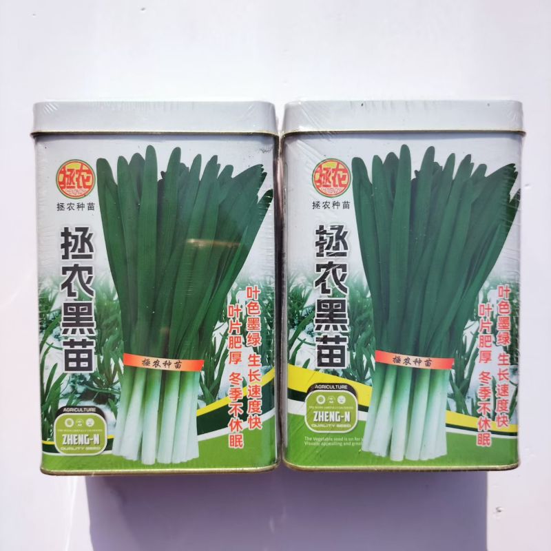 拯农黑苗冬季不休眠韭菜种子叶色墨绿生长快速耐寒品种种子