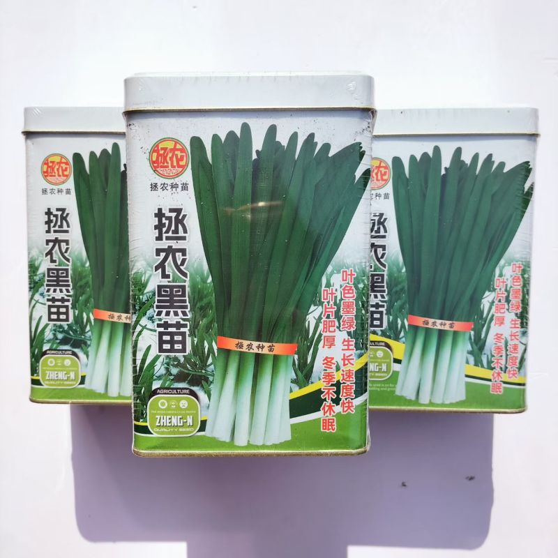 拯农黑苗冬季不休眠韭菜种子叶色墨绿生长快速耐寒品种种子