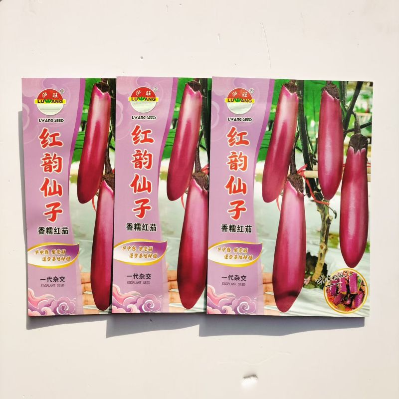 红韵仙子红茄种子紫红色茄春夏季蔬菜早中熟种子