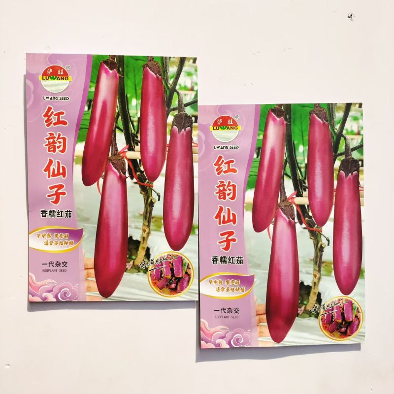 红韵仙子红茄种子紫红色茄春夏季蔬菜早中熟种子