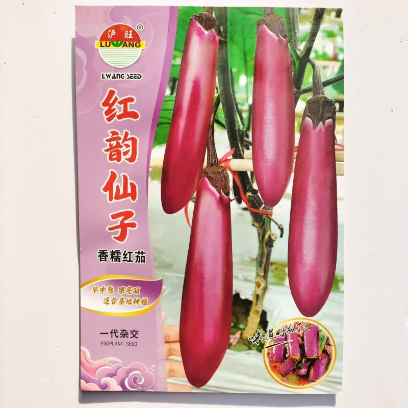 红韵仙子红茄种子紫红色茄春夏季蔬菜早中熟种子
