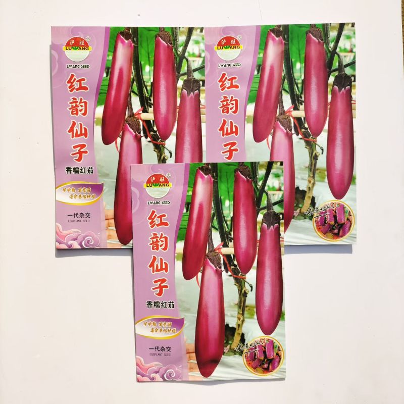 红韵仙子红茄种子紫红色茄春夏季蔬菜早中熟种子