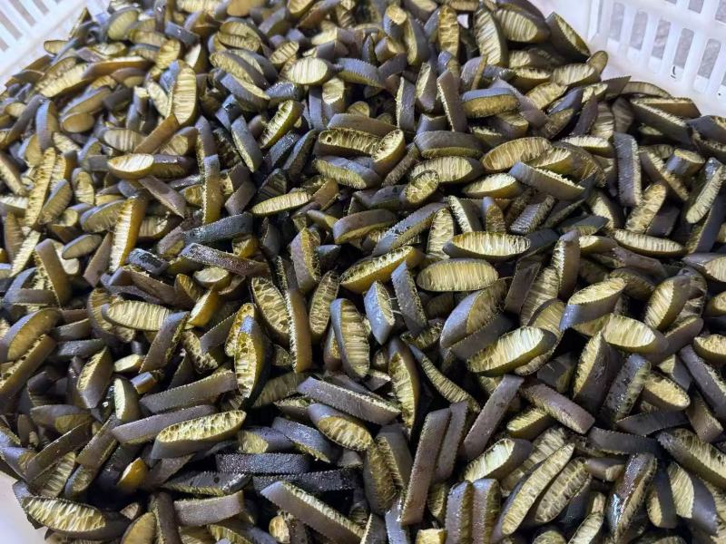 海松茸片厂家，海笋条厂家，海笋片厂家，金茸片厂家