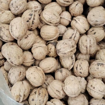 精品纸皮核桃2025新货手剥原味***新疆正宗薄皮核桃